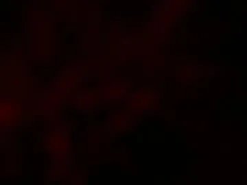 kloelamaravilla18 on Chaturbate