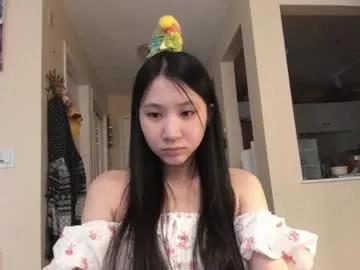 alizezaide from Chaturbate is Freechat