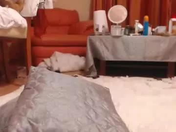 andrasweetie from Chaturbate is Freechat