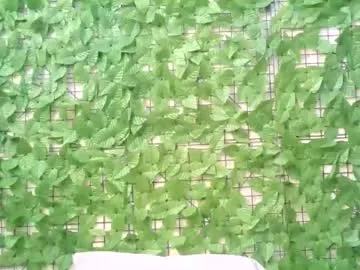 beib_love from Chaturbate is Freechat