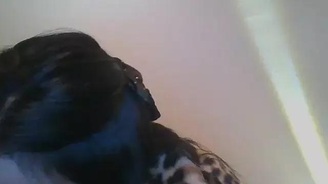 camiluarg1998 from StripChat is Freechat