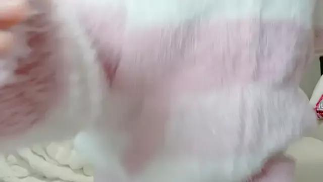 Photos of Hina-qp from StripChat is Freechat