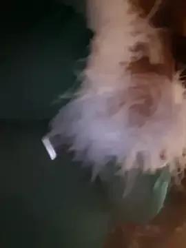 IrishCremeBruele from StripChat is Freechat