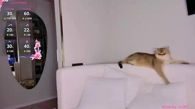 Unleash your urge for fetish cams livestreamers with our pick of steaming hot models, versed in the art of seduction and indulgence.