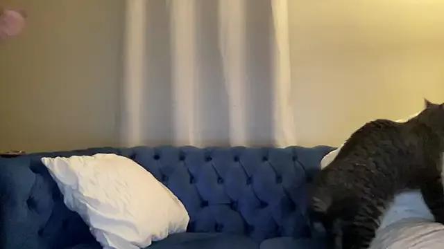 sexylilly69 from StripChat is Freechat